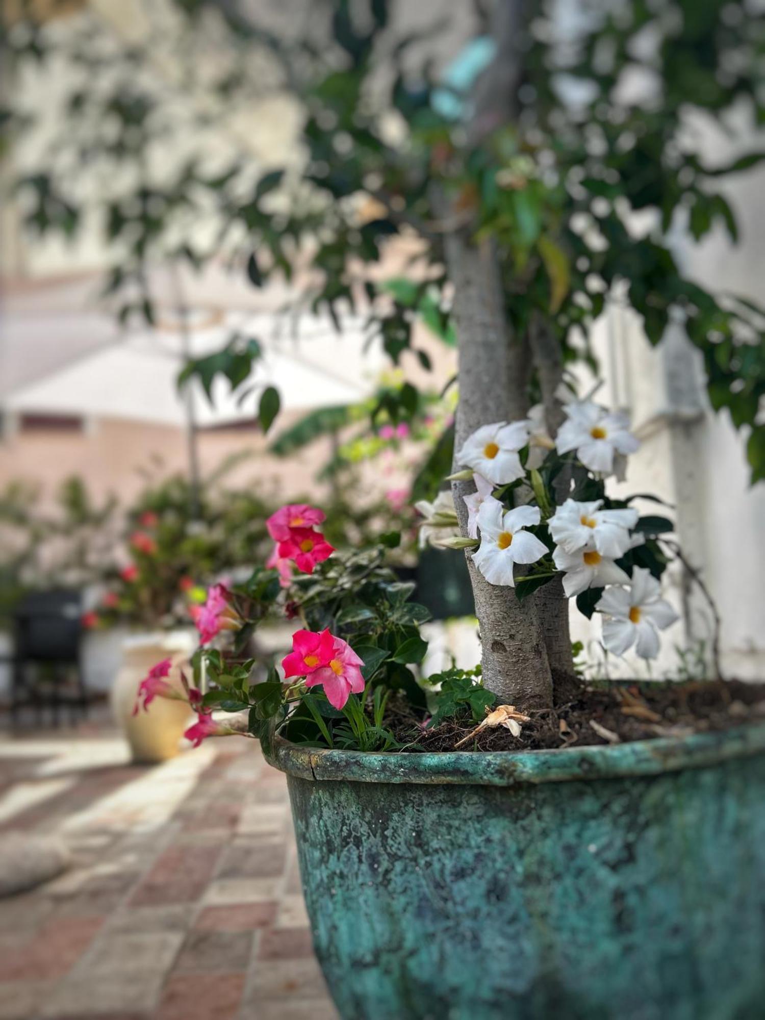 La Maison Derriere Tropea Dış mekan fotoğraf